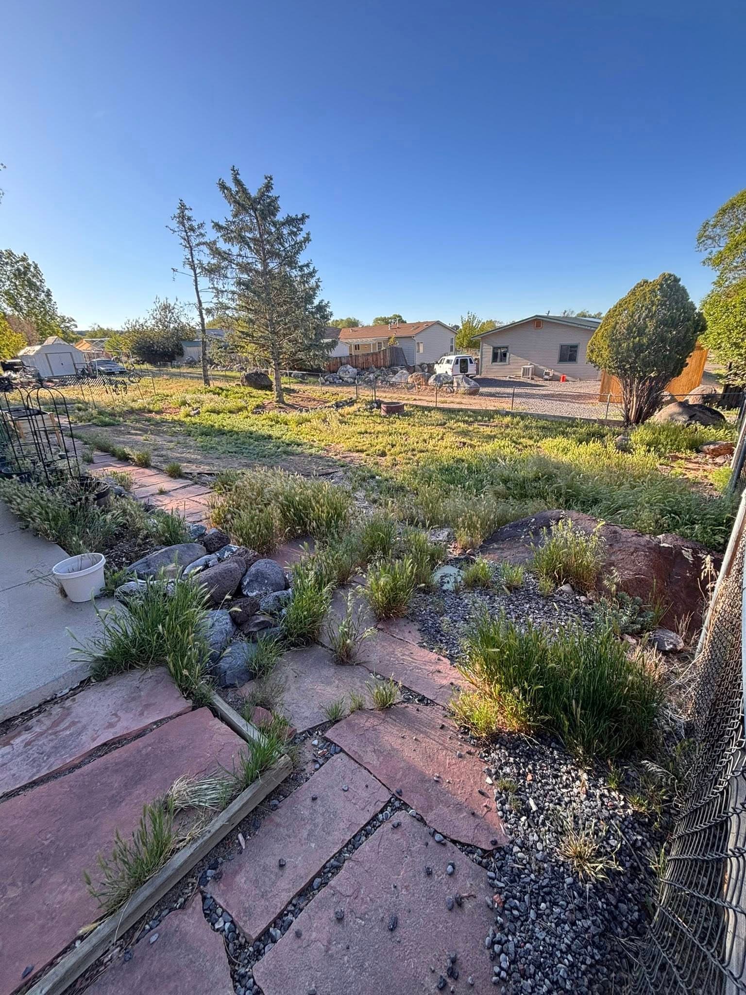 Yard transformation — before